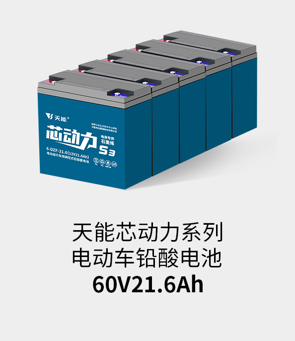 ʱٷֵ60v20ah
