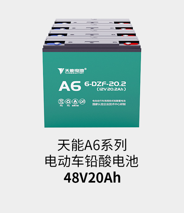 ʱٷֵ48v20ah