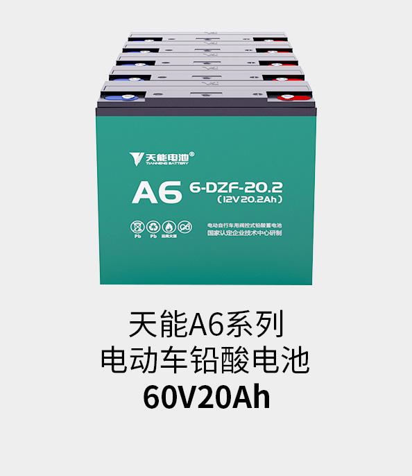 ʱٷֵ60v20ah