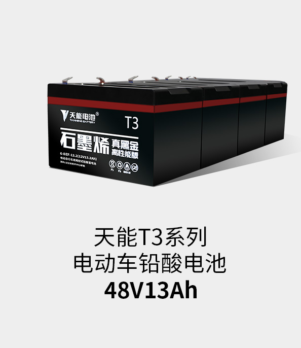 ʱٷT3ϵ48v13ah