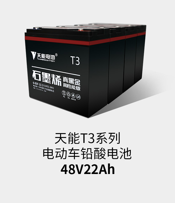 ʱٷT3ϵ48v22ah