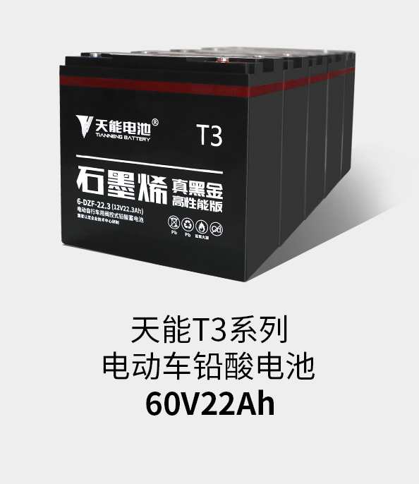 ʱٷT3ϵ60v22ah